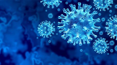 8 Positive Updates Surrounding the Coronavirus Pandemic Coronavirus-image